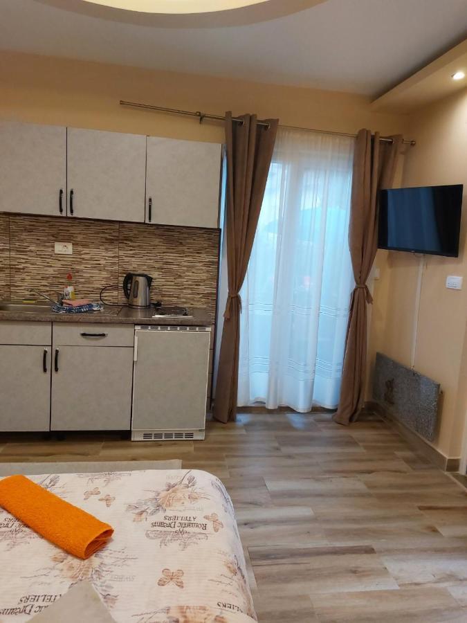 Apartmani Knezevic Zlatibor Extérieur photo