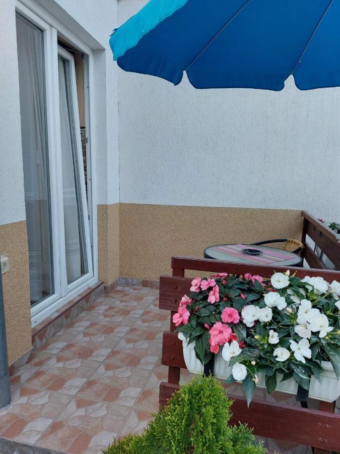 Apartmani Knezevic Zlatibor Extérieur photo