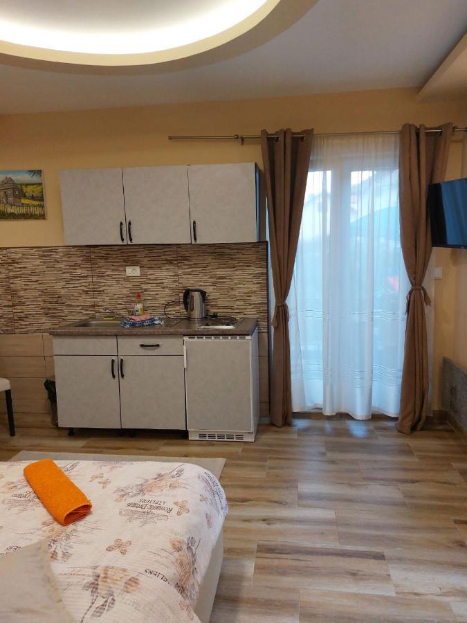 Apartmani Knezevic Zlatibor Extérieur photo