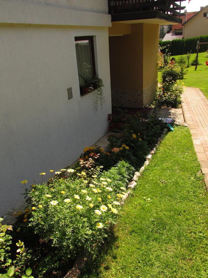 Apartmani Knezevic Zlatibor Extérieur photo